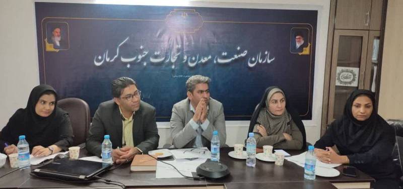 بررسی مشکلات ۵ طرح در کمیته‌های تخصصی صنعت، معدن و تجارت جنوب کرمان